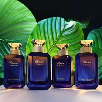 Magnolia Au Vetiver d'Haiti EDP
